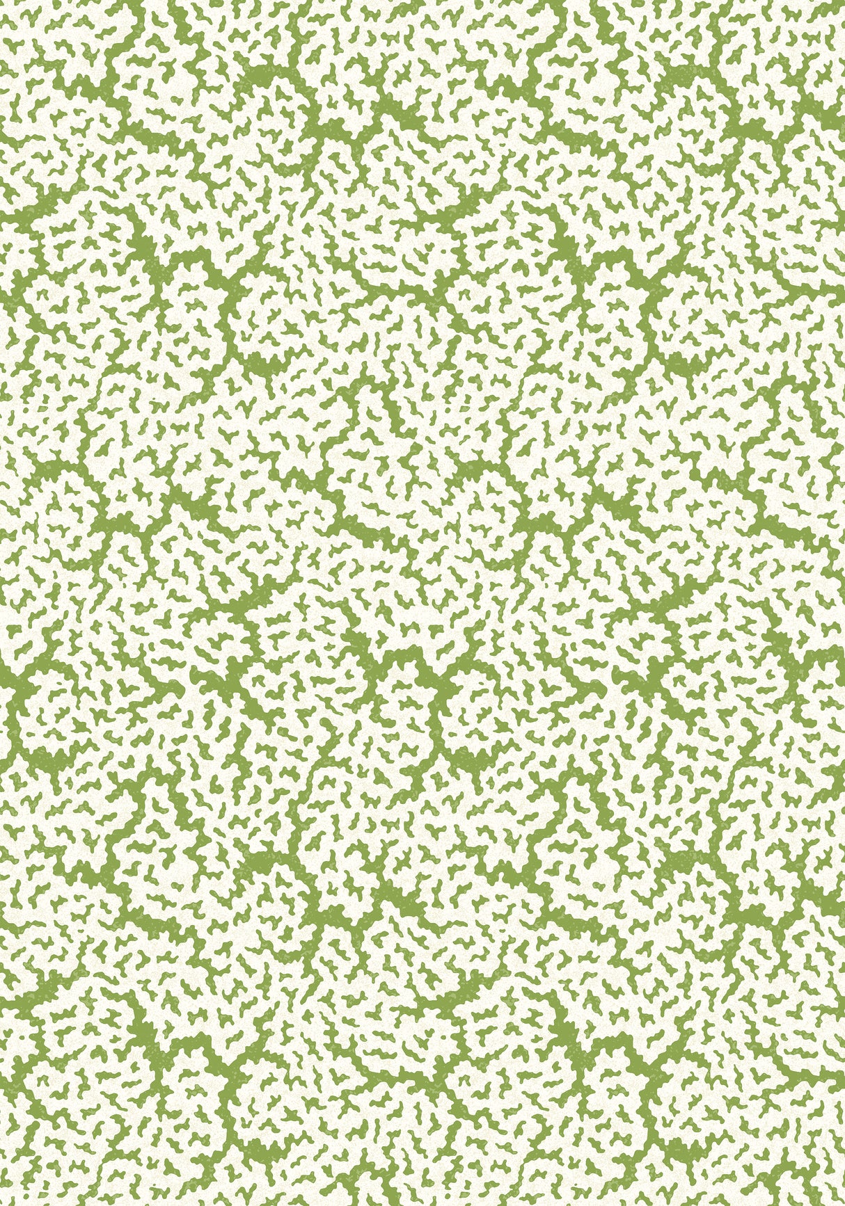 Thibaut T42041 MALDIVES Green Wallpaper