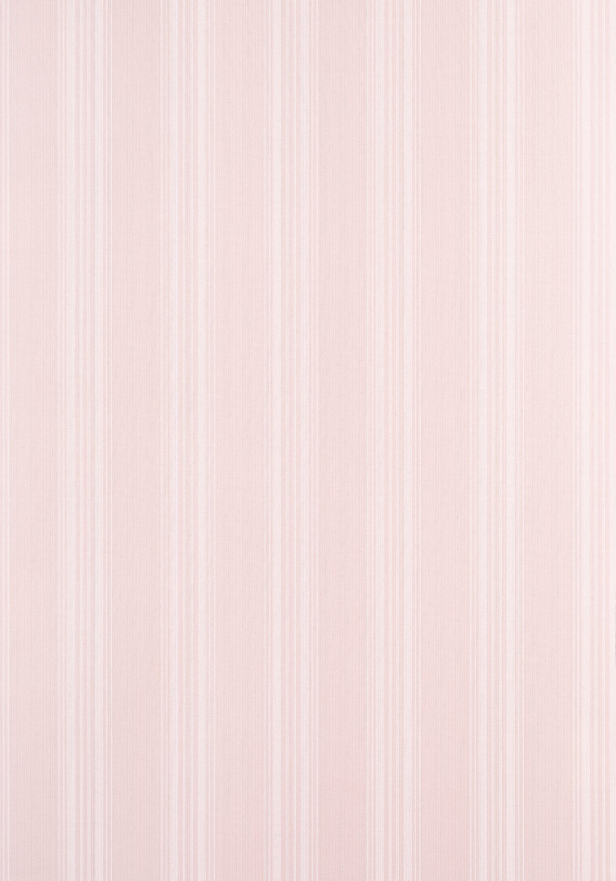 Thibaut T44013 SCARLET STRIPE Blush Wallpaper