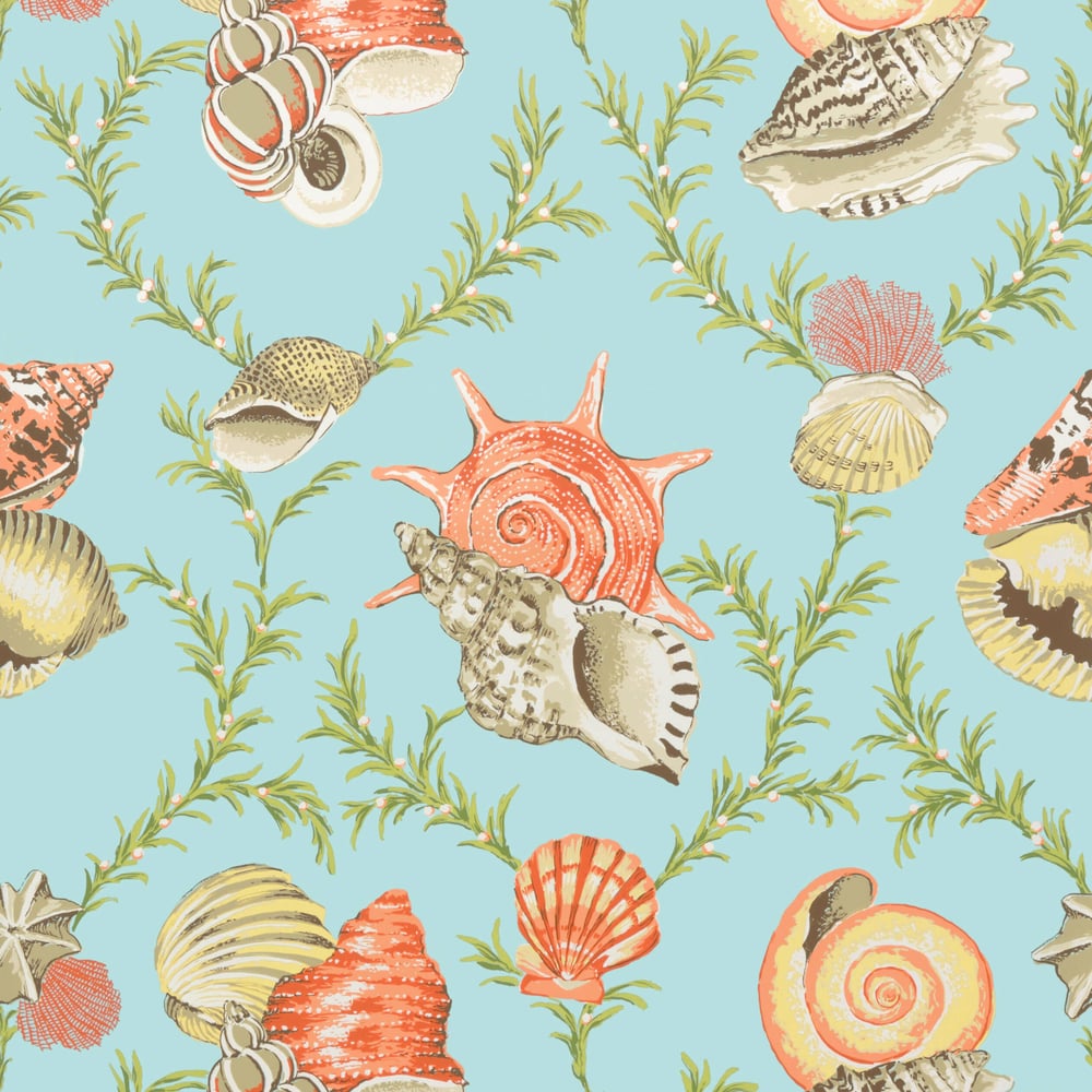 Thibaut T5746 SUMBA SHELL Sky Blue Wallpaper