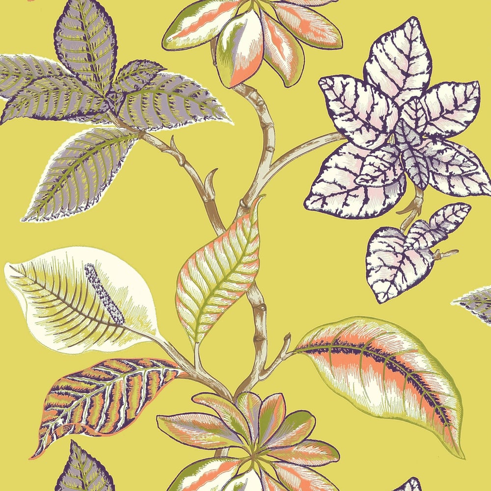 Thibaut T5752 LUCALA Citron Wallpaper