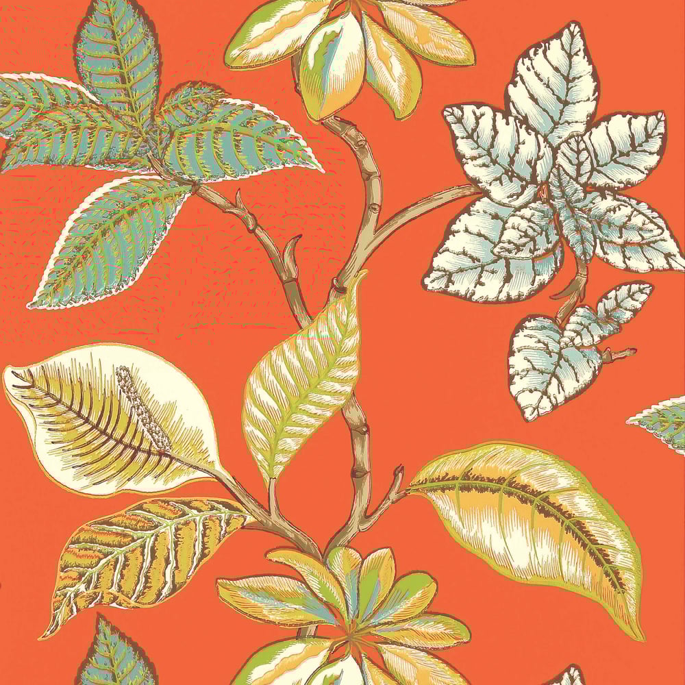 Thibaut T5754 LUCALA Coral Wallpaper