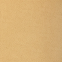 Thibaut T6829 NATURAL OSTRICH Harvest Wallpaper