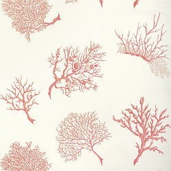 Thibaut T6867 CORAL GABLES Coral on White Wallpaper