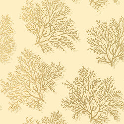 Thibaut T7045 ST. LUCIA Sand Wallpaper
