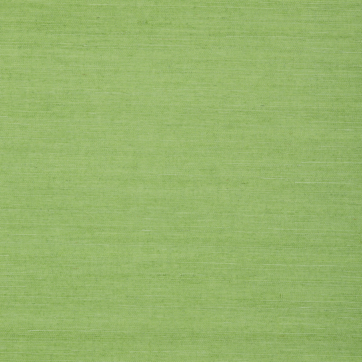 Thibaut T72832 SHANG EXTRA FINE SISAL Kelly Green Wallpaper