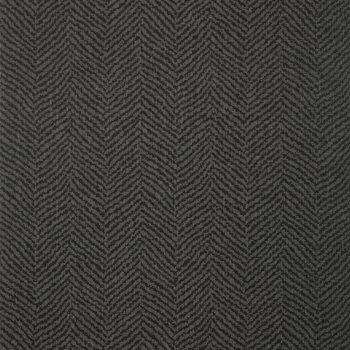 Thibaut T72862 BIG SUR Black Wallpaper