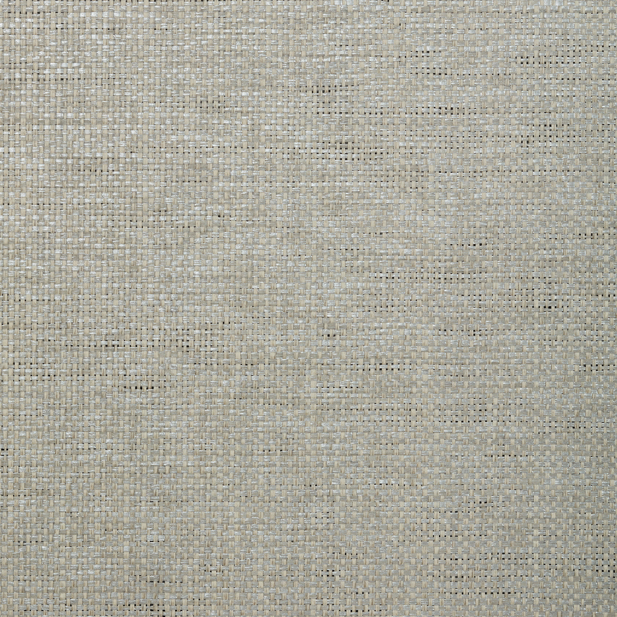 Thibaut T72866 GOLDEN GATE Grey Wallpaper