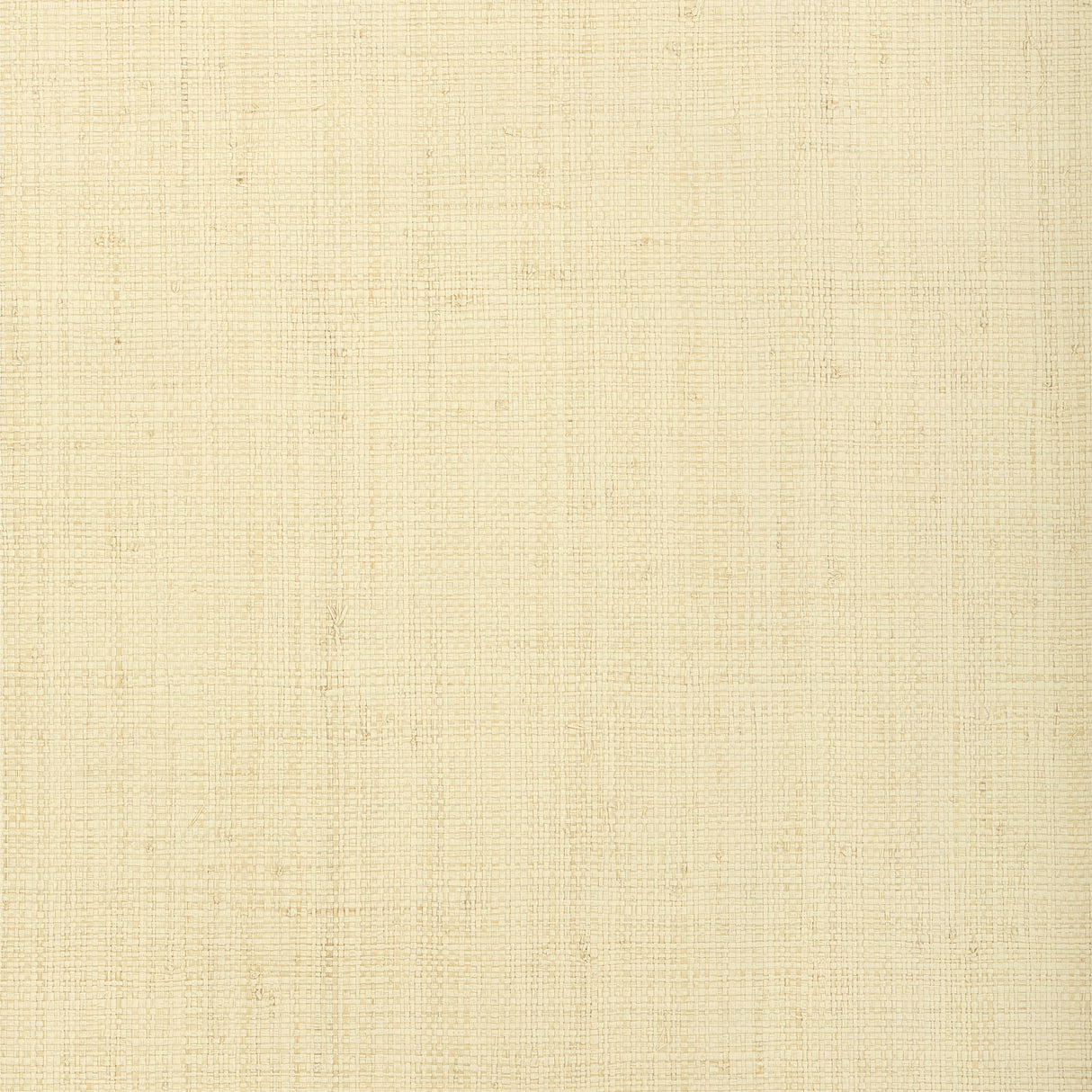 Thibaut T72877 PROVINCIAL WEAVE Cream Wallpaper