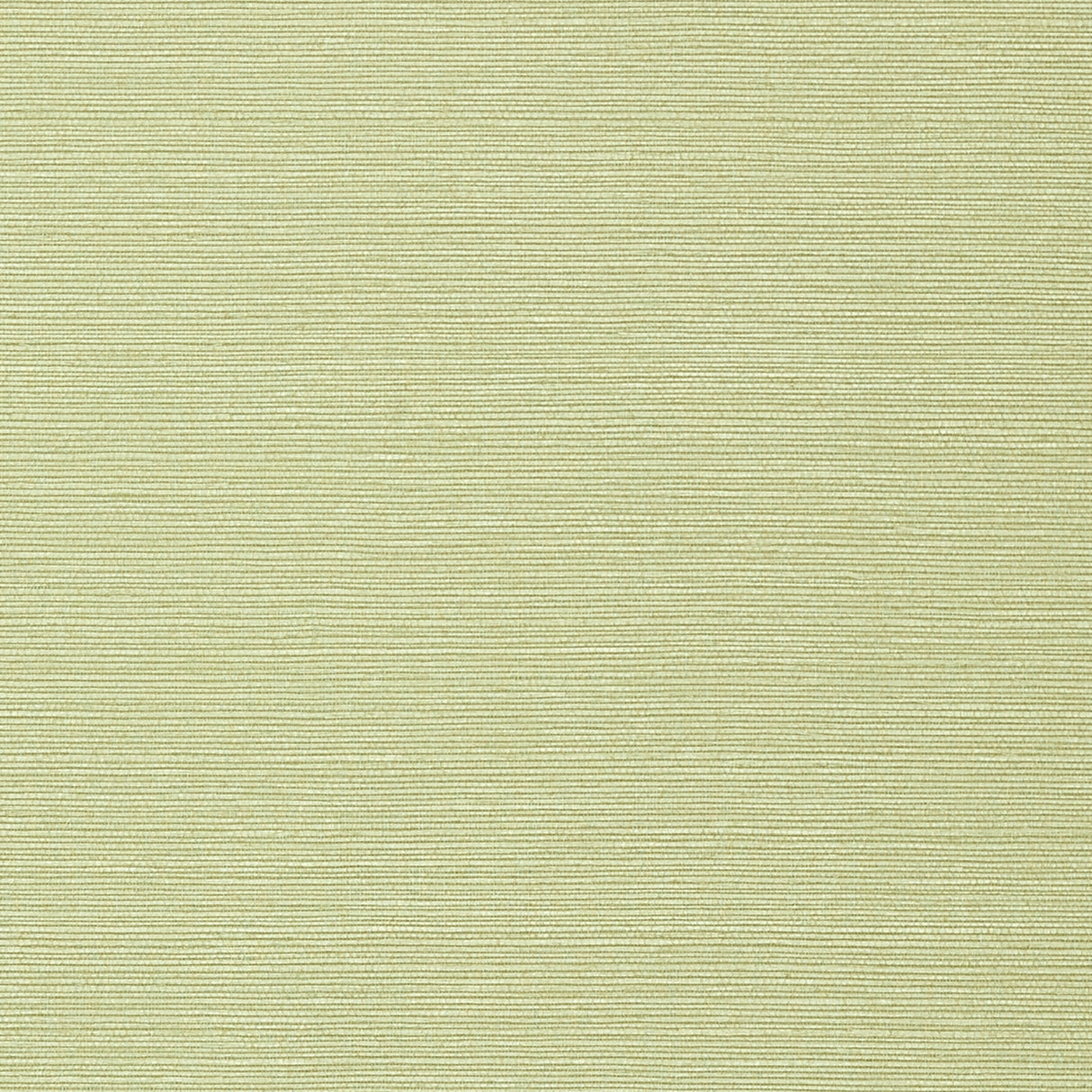 Thibaut T75153 TALUK SISAL Willow Wallpaper