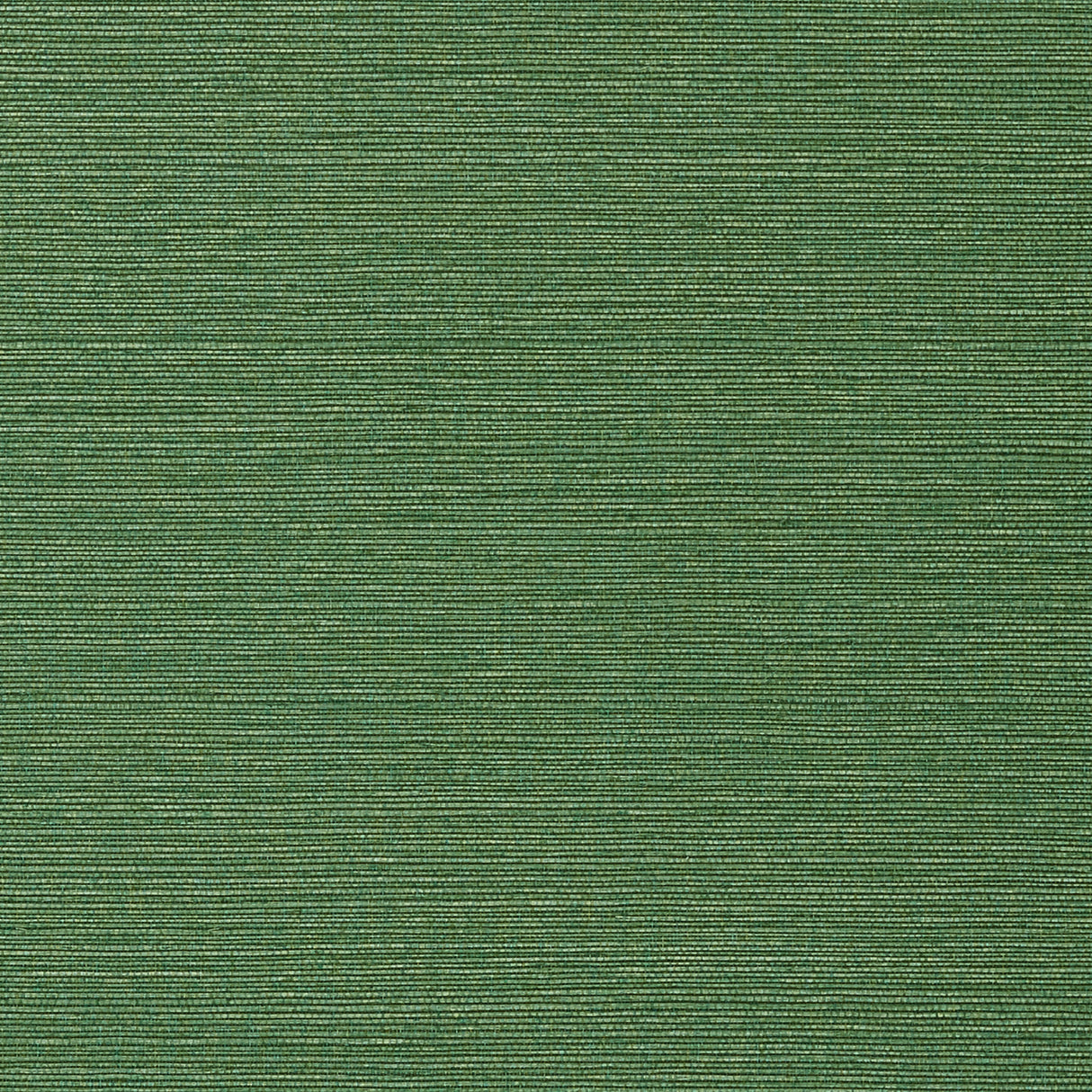 Thibaut T75154 TALUK SISAL Green Wallpaper