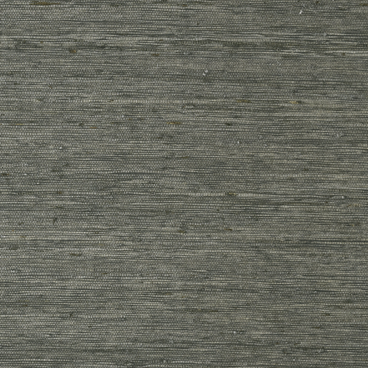 Thibaut T85009 MARANTA ARROWROOT Black Wallpaper