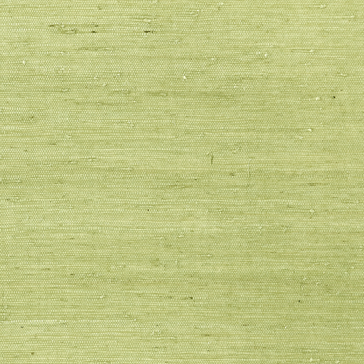 Thibaut T85012 MARANTA ARROWROOT Green Wallpaper