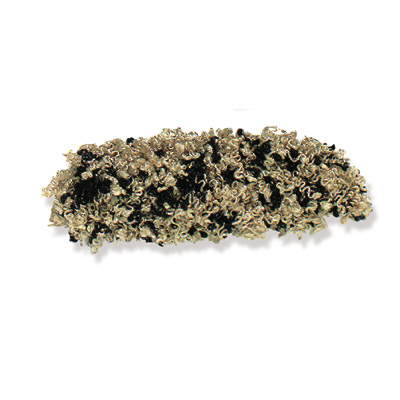 KRAVET DESIGN TA3000.816.0 POODLE TRIM - Eade's Wallpaper