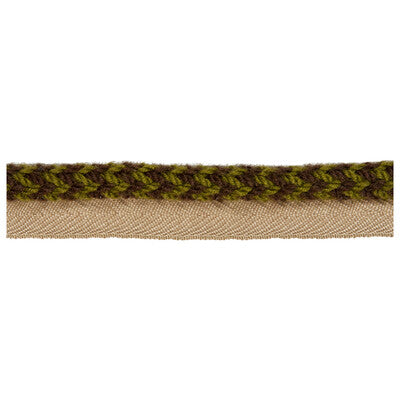 KRAVET DESIGN TA5323.36.0 VINE CORD LICHEN TRIM - Eade's Wallpaper