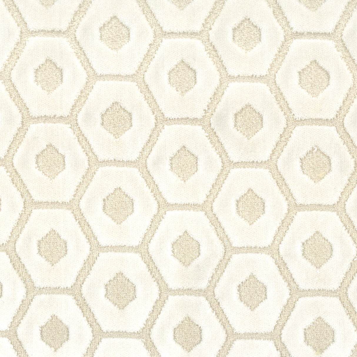 Eade's TAMB-3-sample EGGSHELL