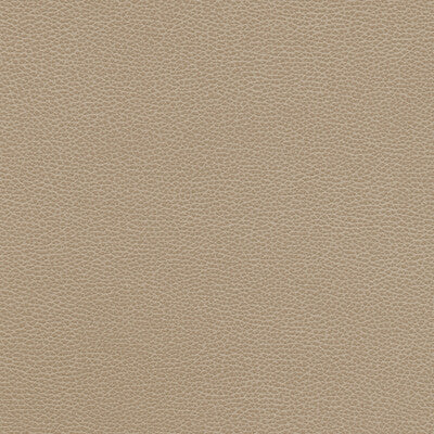 KRAVET DESIGN TANNIN.11.0 KRAVET DESIGN TANNIN-11 Fabric - FAUX LEATHER IV