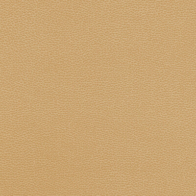 KRAVET DESIGN TANNIN.16.0 KRAVET DESIGN TANNIN-16 Fabric - FAUX LEATHER IV
