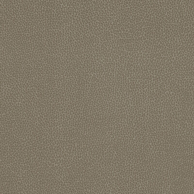 KRAVET DESIGN TANNIN.21.0 KRAVET DESIGN TANNIN-21 Fabric - FAUX LEATHER IV