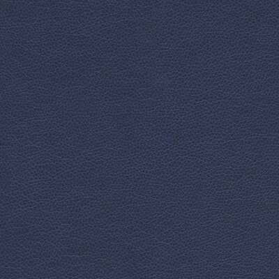 KRAVET DESIGN TANNIN.50.0 KRAVET DESIGN TANNIN-50 Fabric - FAUX LEATHER IV