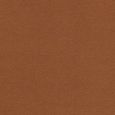KRAVET DESIGN TANNIN.6.0 KRAVET DESIGN TANNIN-6 Fabric - FAUX LEATHER IV