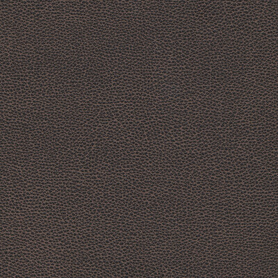 KRAVET DESIGN TANNIN.8.0 KRAVET DESIGN TANNIN-8 Fabric - FAUX LEATHER IV