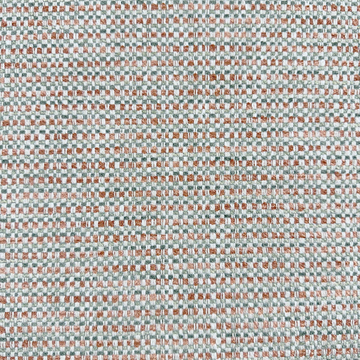 Eade’s TAYLOR TERRA TERRA