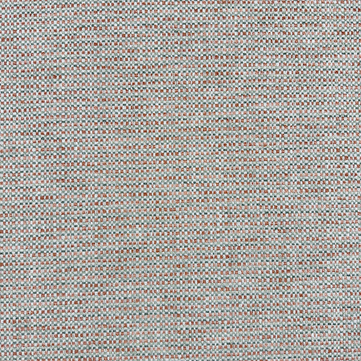 Eade’s TAYLOR TERRA TERRA