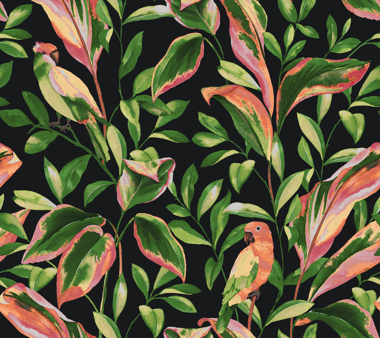 York TC2651 Tropical Love Birds Black Wallpaper