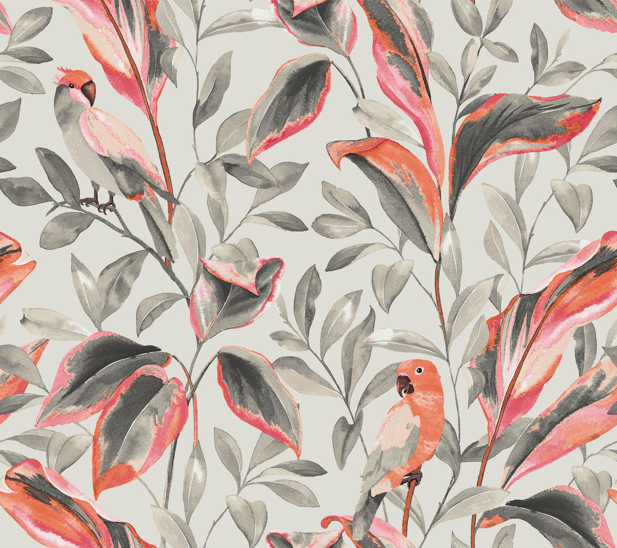 York TC2652 Tropical Love Birds Grey Wallpaper