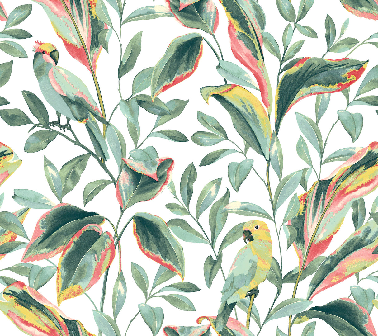York TC2653 Tropical Love Birds White & Coral Wallpaper