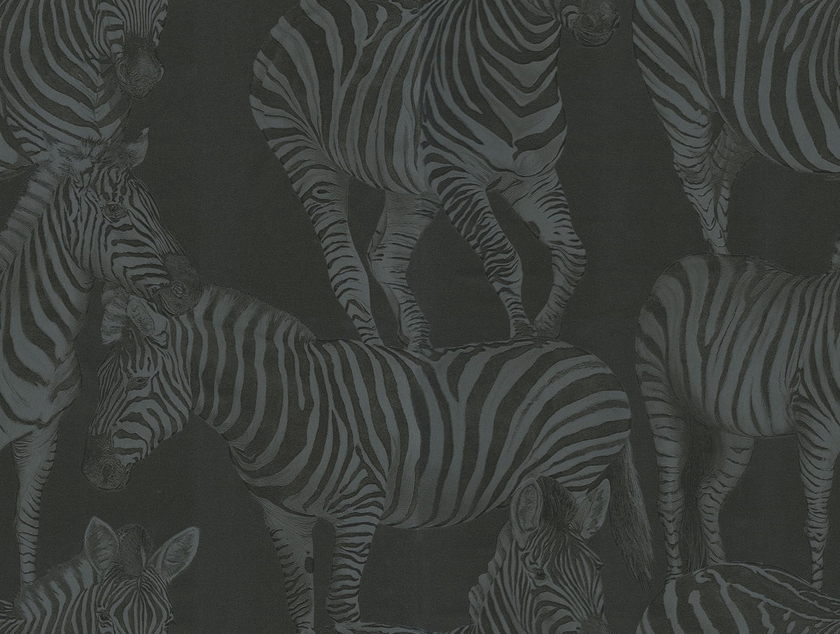 Dolce & Gabbana Casa TCW007TCAHOUZ018 Zebra Romance Wallpape