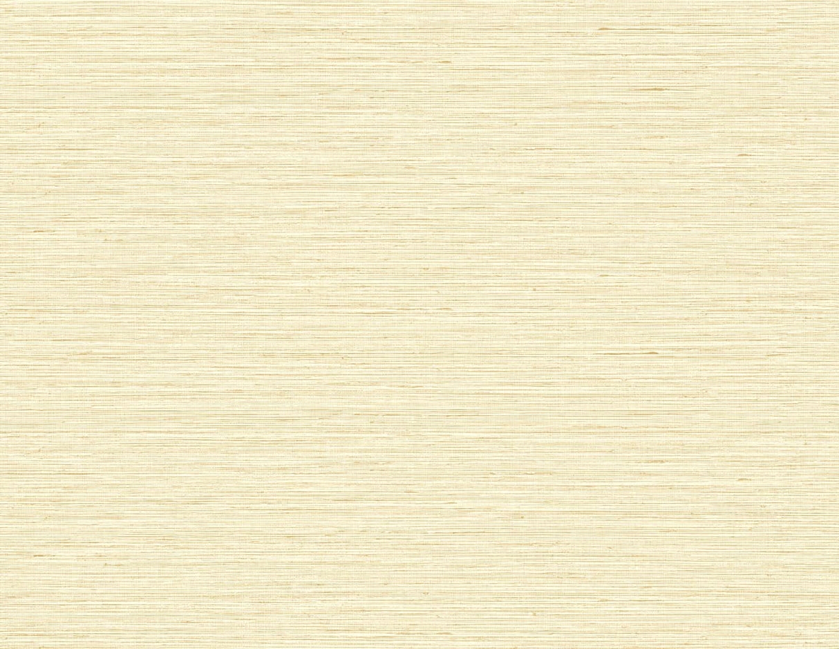 DuPont TG60337 Wallpaper - Eade's Wallpaper & Fabric