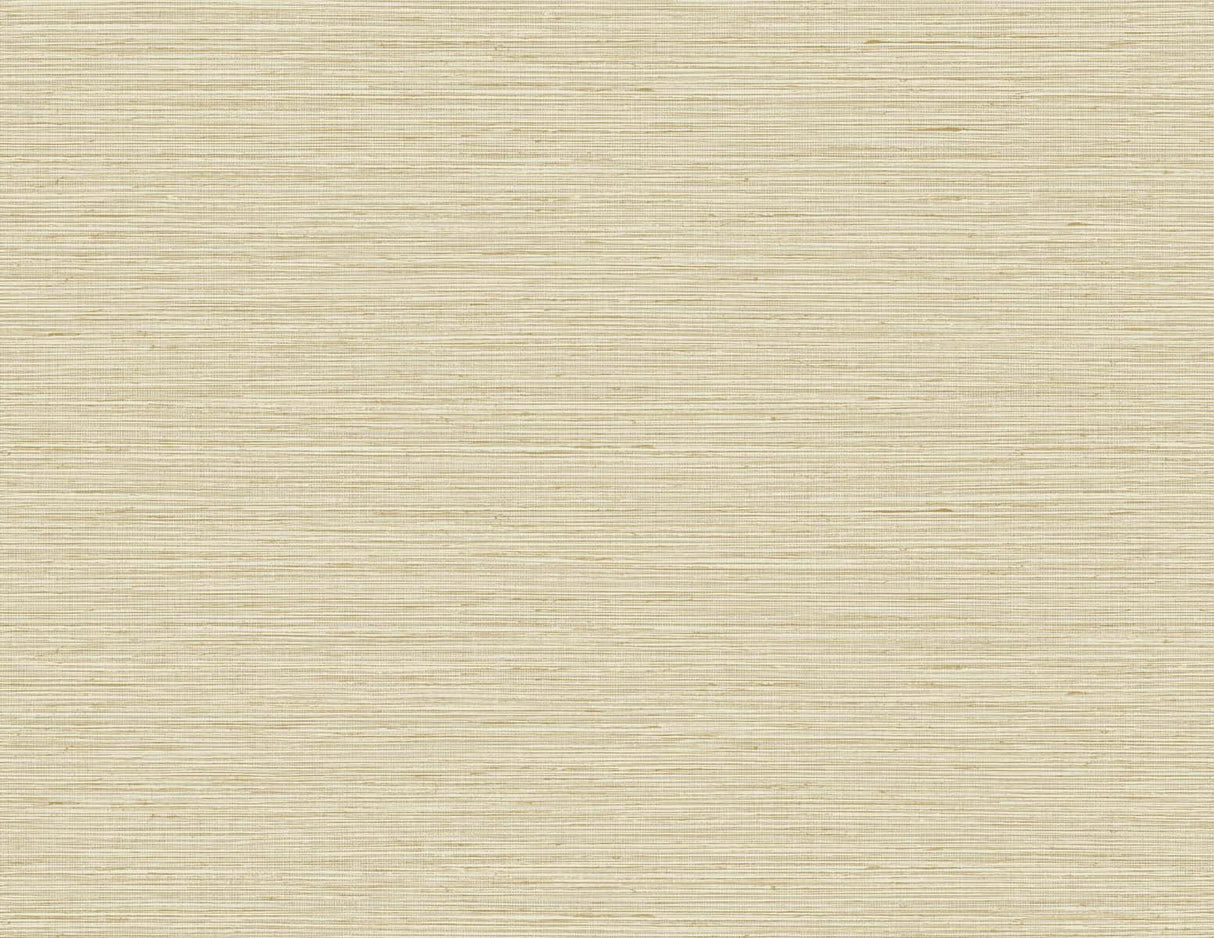 DuPont TG60338 Edmond Faux Sisal