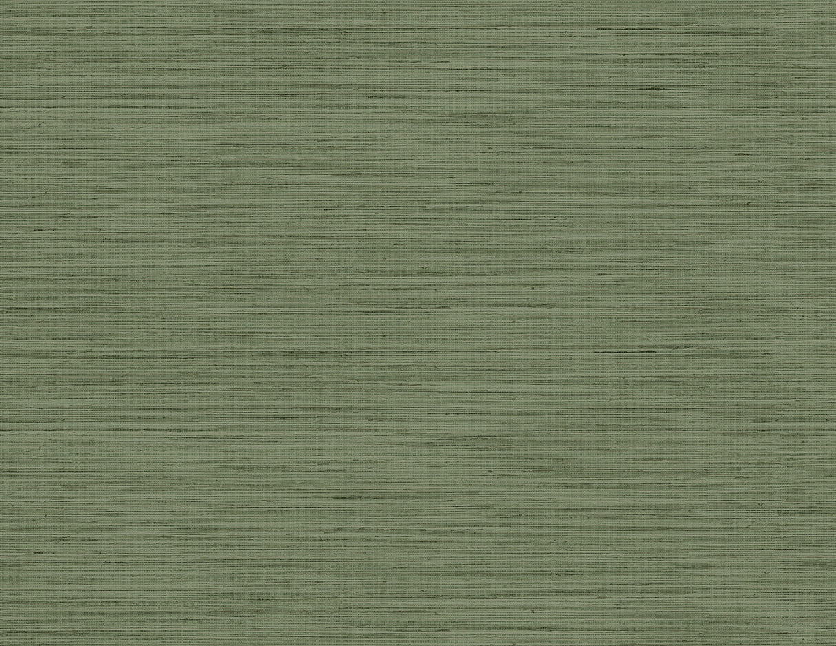 DuPont TG60351 Edmond Faux Sisal