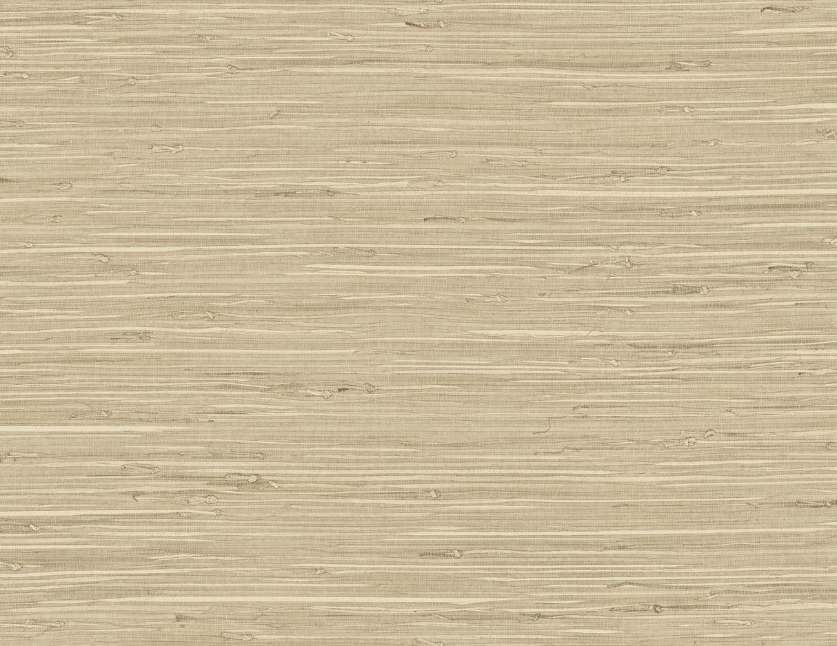 DuPont TG60516 Wallpaper - Eade's Wallpaper & Fabric