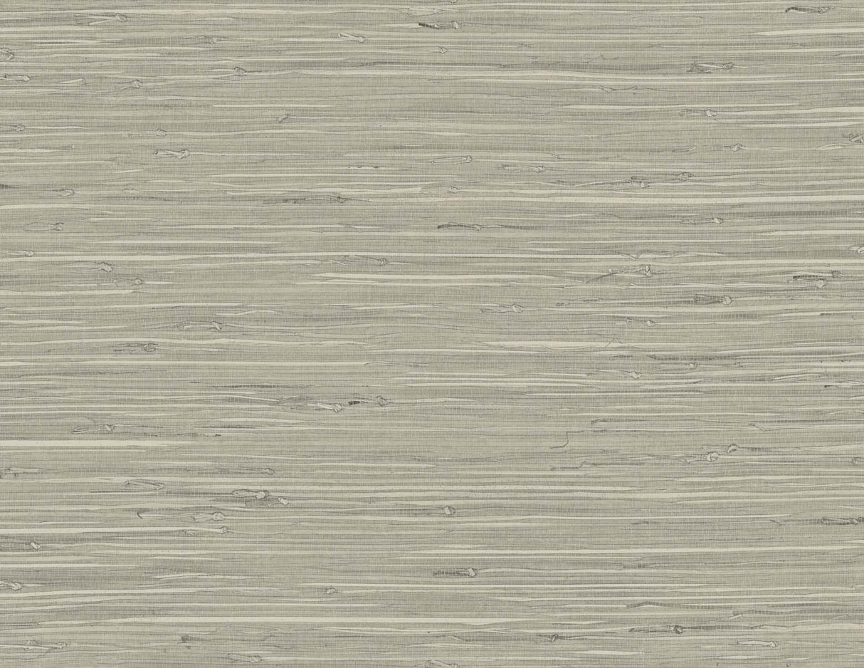 DuPont TG60529 Wallpaper - Eade's Wallpaper & Fabric