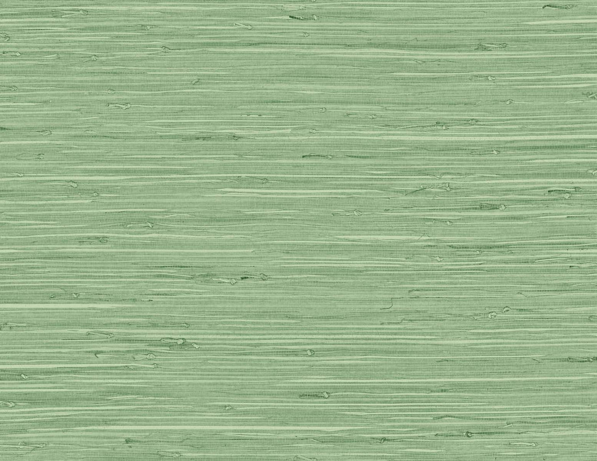 DuPont TG60534 Wallpaper - Eade's Wallpaper & Fabric
