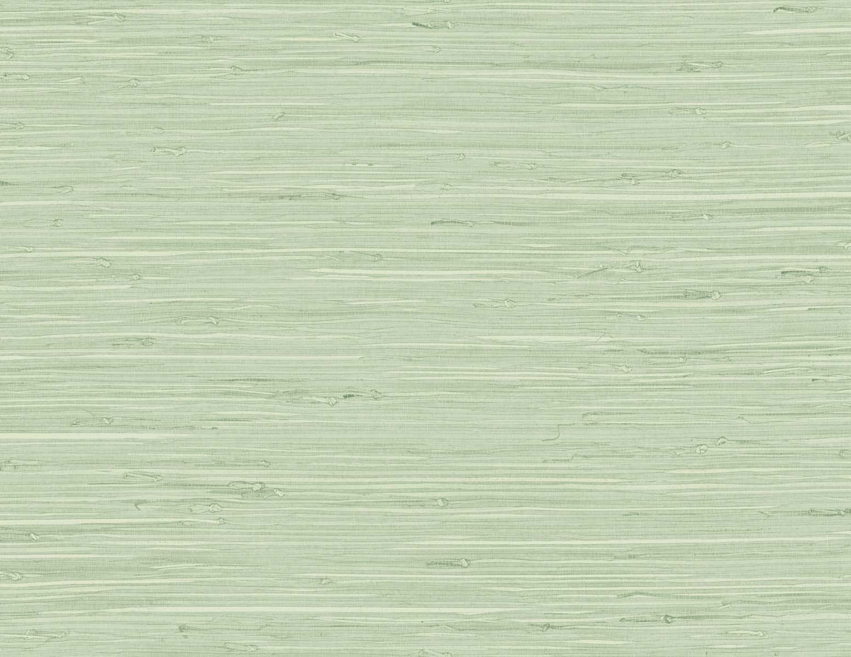 DuPont TG60535 Wallpaper - Eade's Wallpaper & Fabric