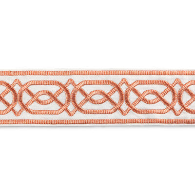 LEE JOFA SHIRE EMB TAPE TL10196.124.0 in TERRA Fabric - HINT