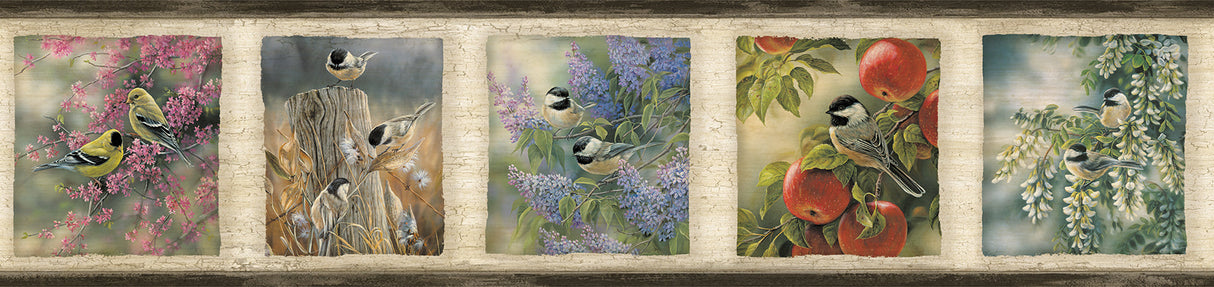 Chesapeake TLL01571B Springfield Black Springfield Border