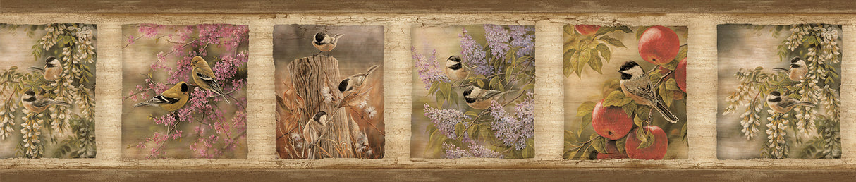 Chesapeake TLL01572B Oconee Brown Springfield Border