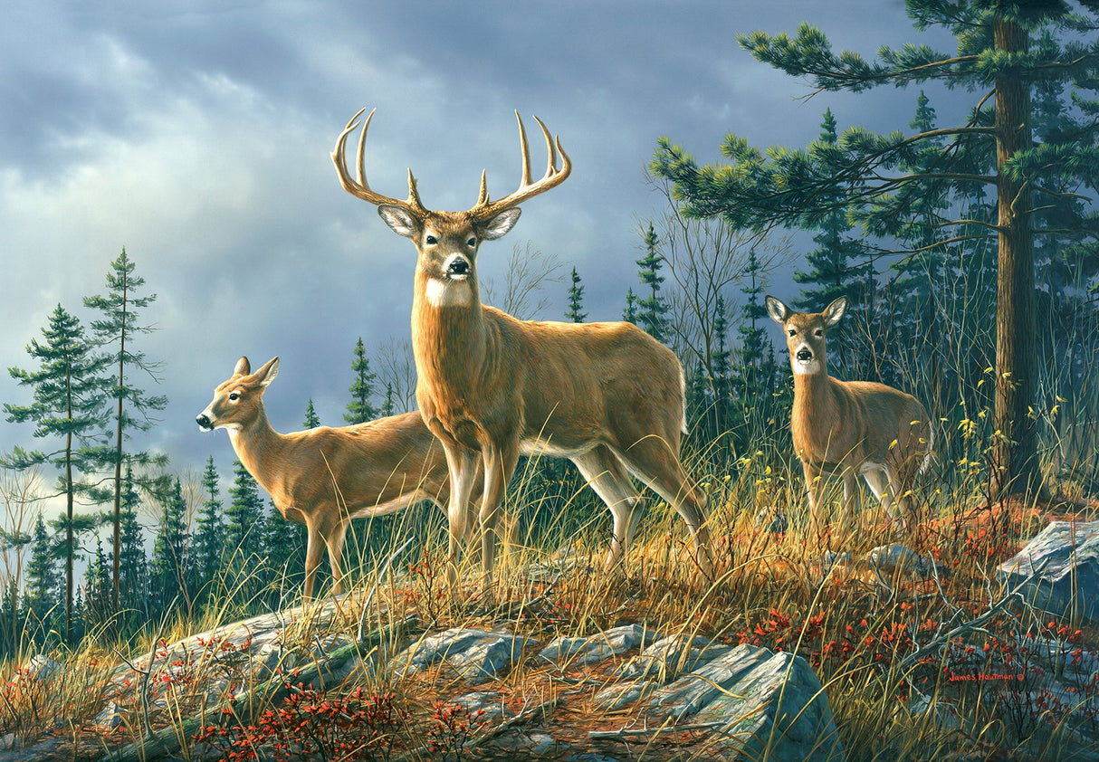 Chesapeake TLL151 Autumn Whitetail Mural