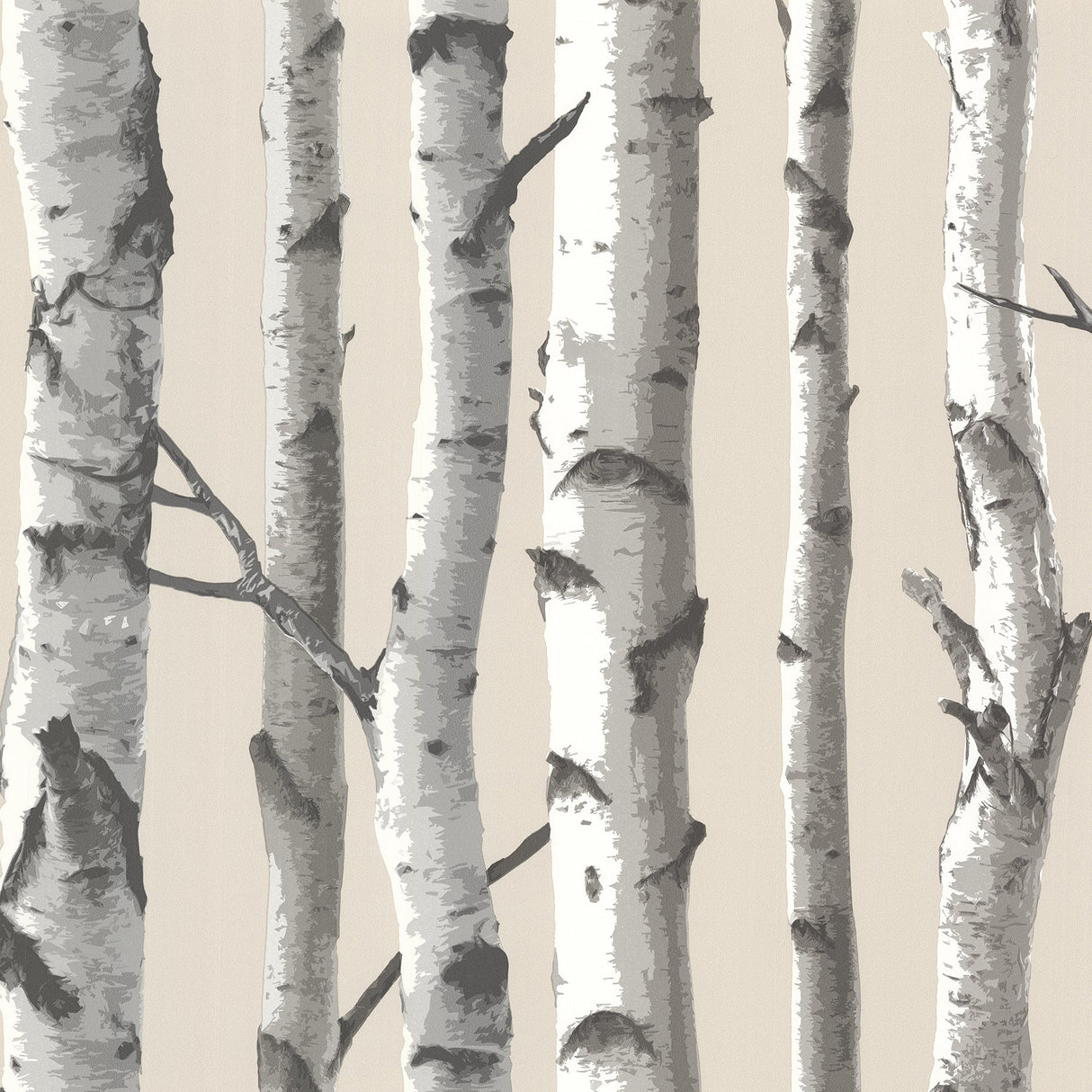 Chesapeake TLL21499 Tuxbury Beige Birch Tree Wallpaper