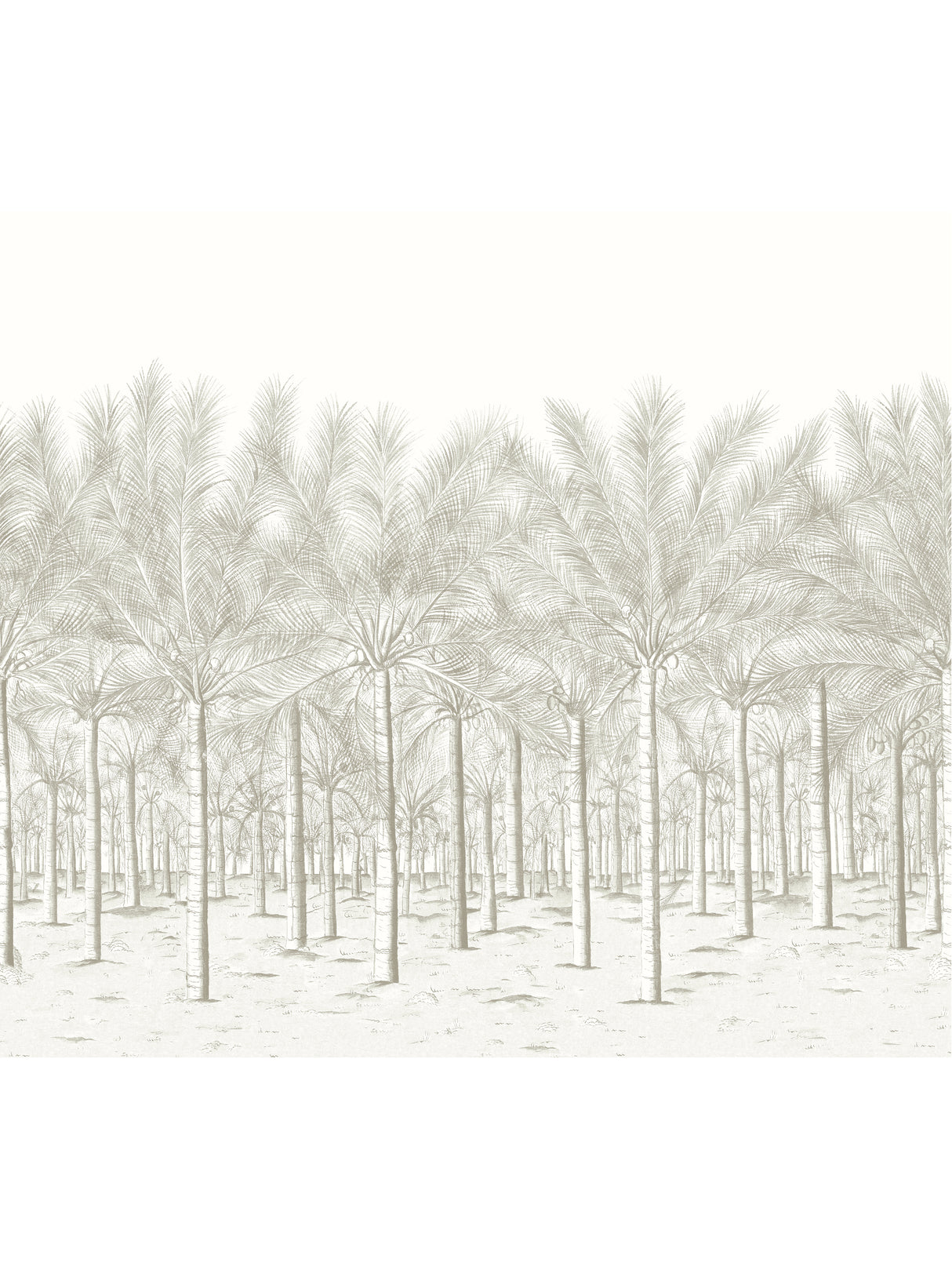 Thibaut TM13948 PALM GROVE MURAL Beige Wallpaper