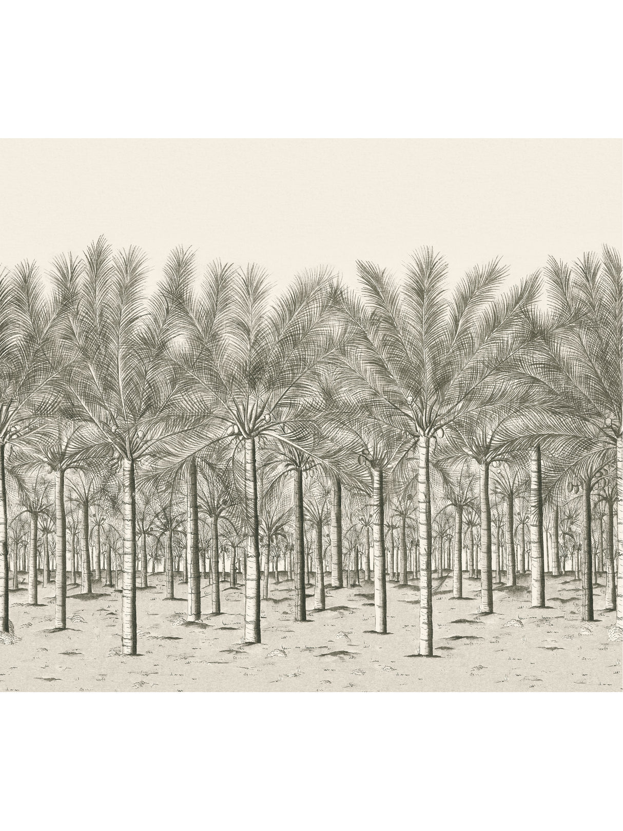 Thibaut TM13950 PALM GROVE MURAL Black Tea Wallpaper