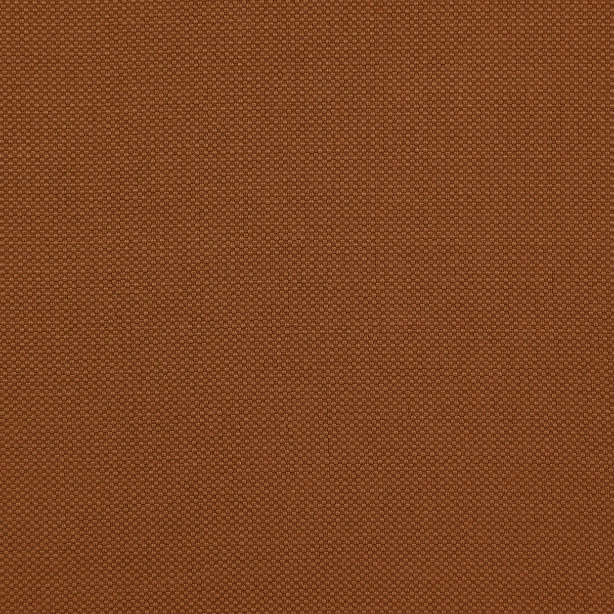 Eade’s # 45 RUSSET
