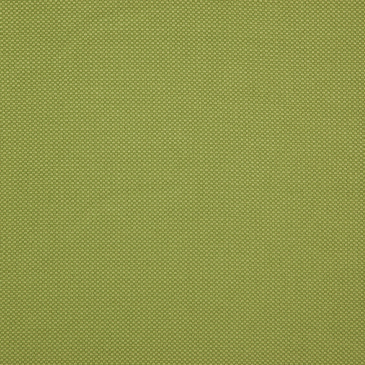 Eade’s # 48 CHARTREUSE