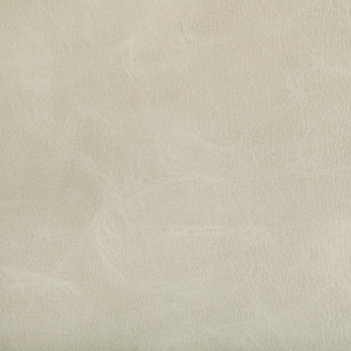 KRAVET CONTRACT TONI.1.0 TONI TUSK Fabric - Eade's Wallpaper