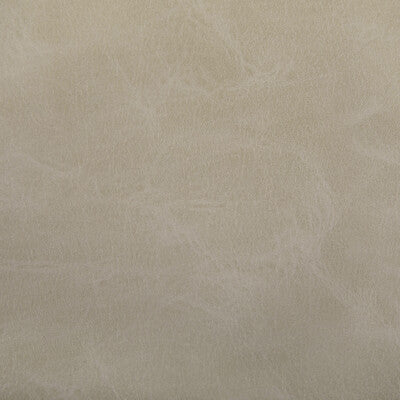 KRAVET CONTRACT TONI.106.0 TONI DUNE Fabric - Eade's Wallpaper