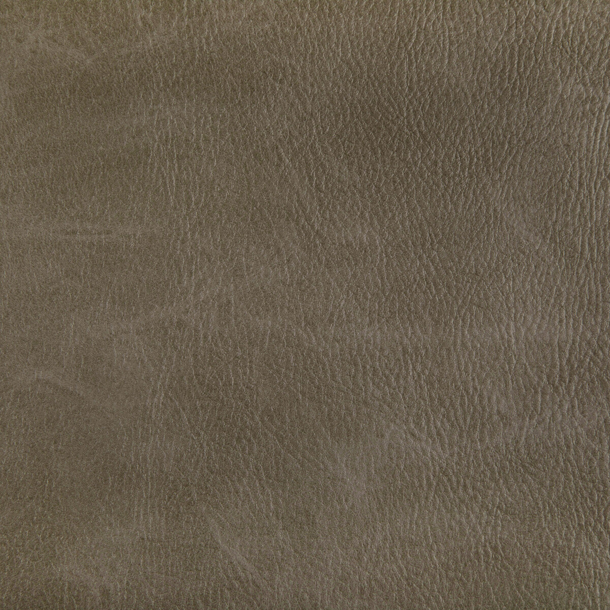 KRAVET CONTRACT TONI.6.0 TONI FIELD Fabric - Eade's Wallpaper